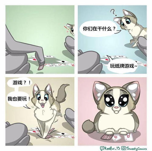 一组猫咪漫画,铲屎官看完都说太真实了