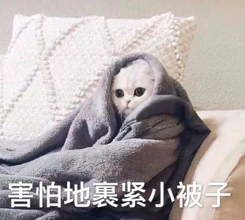 福州某宠物医院兽医性骚扰实习生后续让人大跌眼镜...