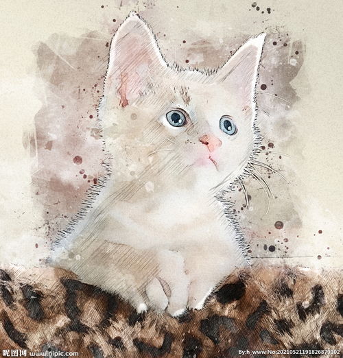 手绘素描宠物猫装饰画海报图片