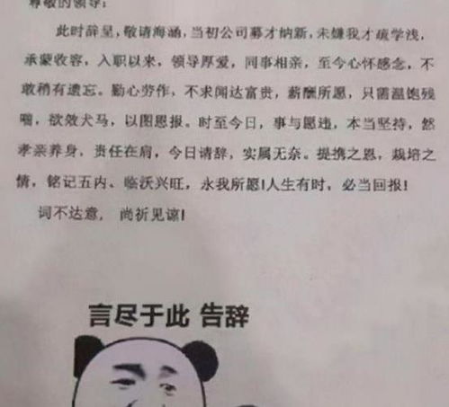 00后辞职申请走红,既搞笑又不缺少幽默,网友看后竖起大拇指