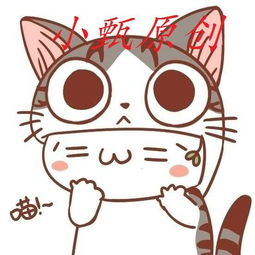 何小甄主页