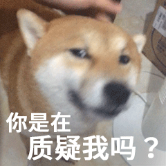 柴犬齐天认命篇表情包
