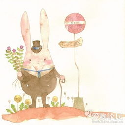 有这张卡通兔子图600像素以上的吗