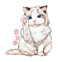 amy手绘插画