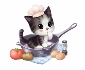 打开正确撸猫方式,懂猫才能爱猫