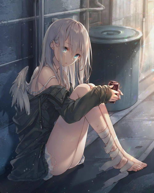 来啦来啦