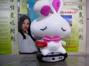 豪增竹炭防辐射玩具包love情侣兔公仔摆饰卡通竹炭包对