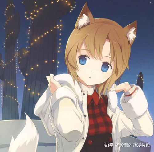 二次元动漫头像长着耳朵的梦幻女生狐妖小仙女了解一下