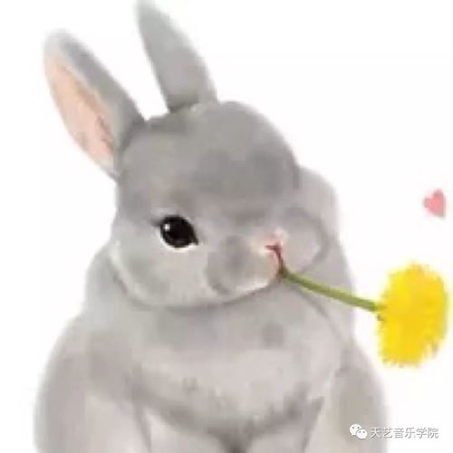 音乐学院教师仇泽为陶晶莹量身打造新歌