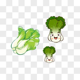 卡通白菜图片素材免费卡通白菜png设计图片大全图精灵