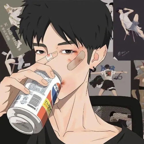 动漫男生头像巷子里的猫很自由,却没有归宿