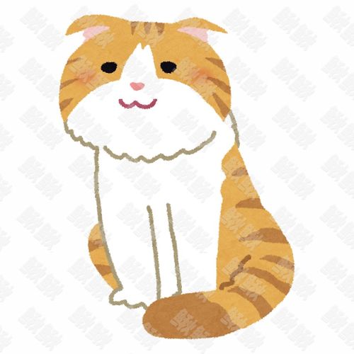 苏格兰折耳猫的写实插画的小猫猫咪手绘卡通插画手绘png儿童插画免扣素材1阿猫阿狗