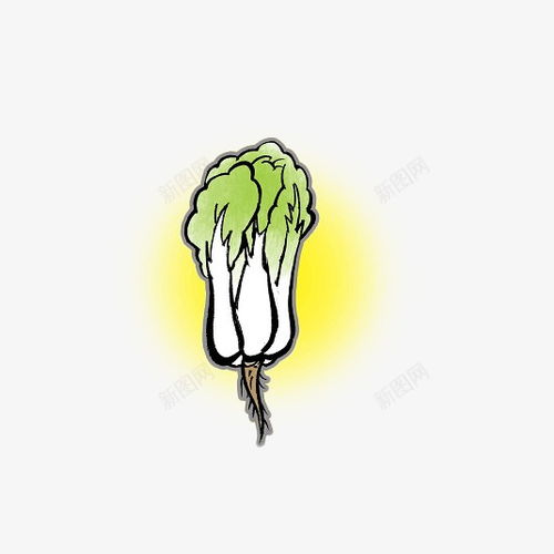 卡通手绘带根须的大白菜元素免抠png设计图片免费下载页面网页平面电商创意素材大白菜素材