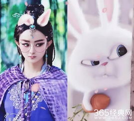 赵丽颖的兔子为什么叫小白谁起的名字