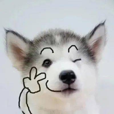 微信头像丨情侣头像,卡通动漫头像,女生头像