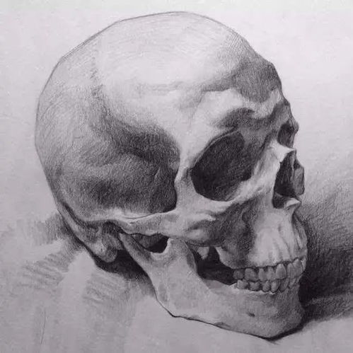 素描头像教程丨五官解析,建议收藏