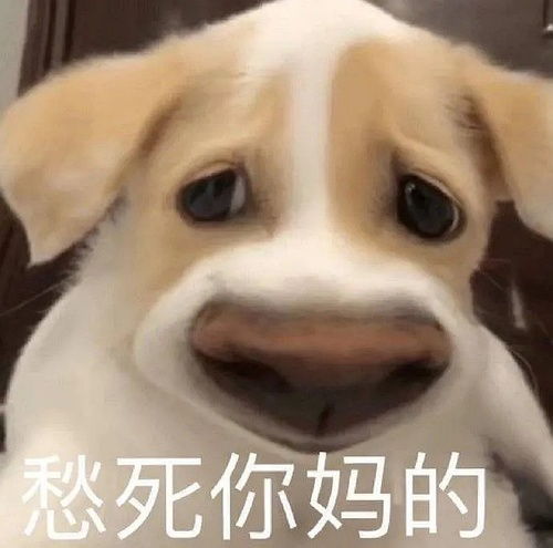 timthumb