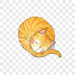小猫卡通png图片素材下载小猫卡通免费图片大全熊猫办公