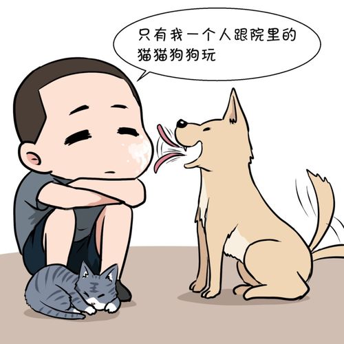 神奇的军人婚恋,神奇的军人相亲