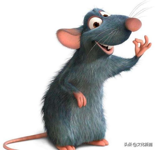 猫为啥这么恨老鼠原来这和十二生肖排位有关系