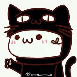 我跟一个胖子说我很胖,他就想打我,这是为什么...