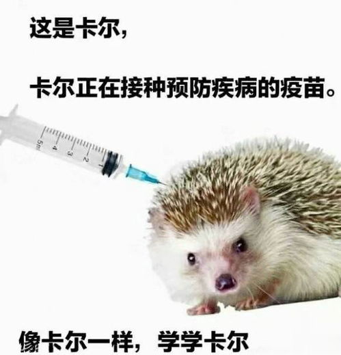 好久没有人像卡尔这样和我说话了