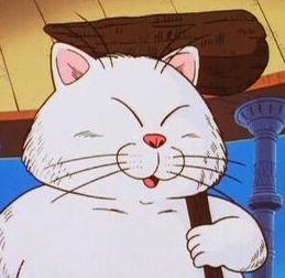 猫仙人
