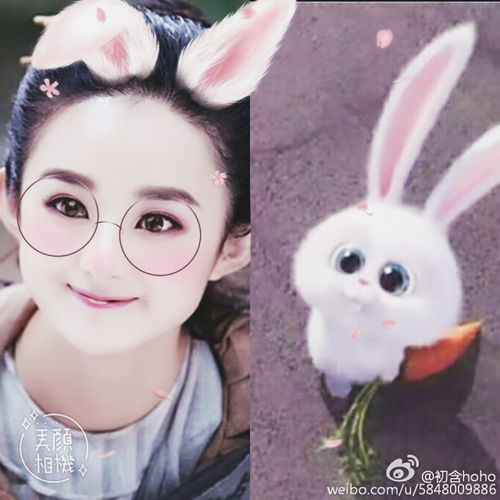 就是这么自信赵丽颖变身萌萌赵小兔网友直呼我要把她抱回家
