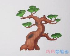 幼儿简笔画卡通松树的画法简单易学