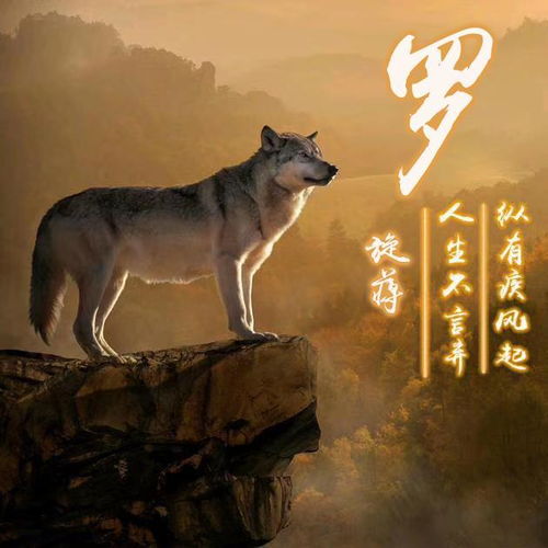 热门微信头像姓名头像,30多张大气经典签名头像,请分享带走