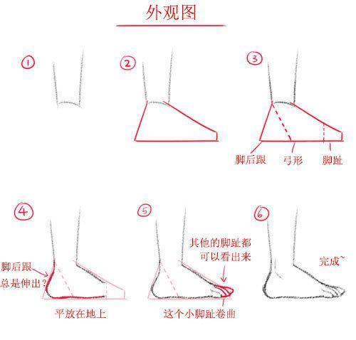 二次元动漫人物的脚怎么画脚的结构画法解析