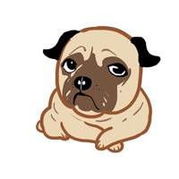 timthumb