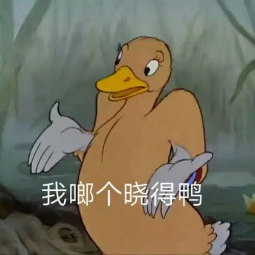 表情包可爱又不烂大街的沙雕文案