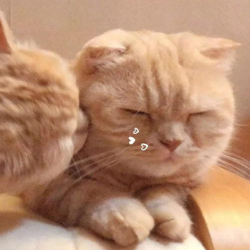 有没有一个让你想忘却忘不掉的人