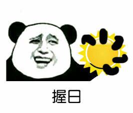 金馆长熊猫骂人表情包