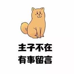 考研党专用头像你确定你不换一个