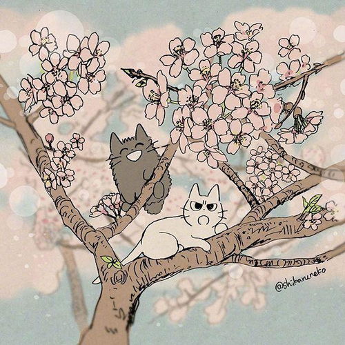 暴躁小猫漫画插画