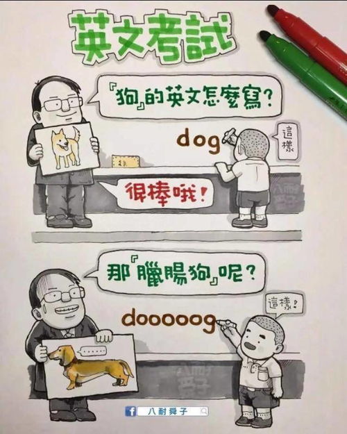 爸,结婚是什么感觉漫画