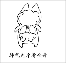 有种胖叫体内湿气太重