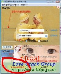 qq透明头像生成器绿色优化版