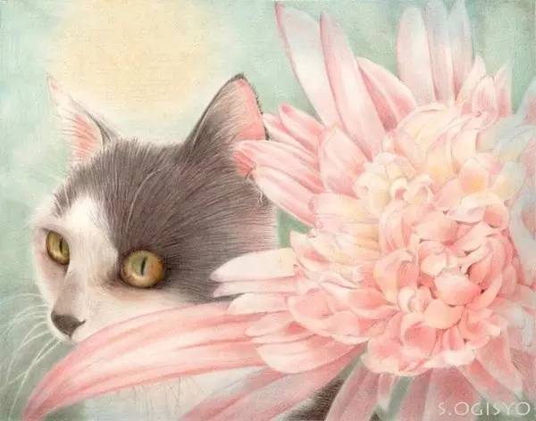 手绘插画她的猫丨王氏教育集团