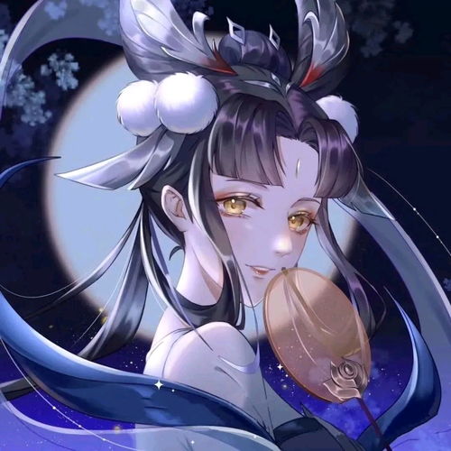 后羿嫦娥情头夜晚的太阳属于她的人