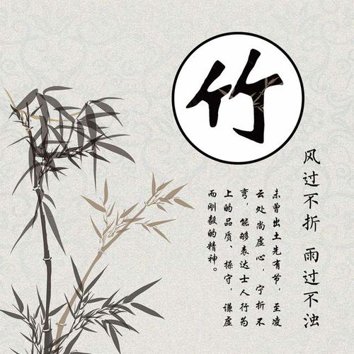 喜欢竹子的低调淡雅,14张竹子带姓氏的头像,悄悄送给有缘人