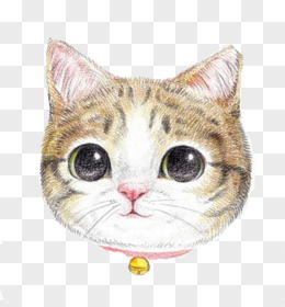 卡通手绘小猫图片素材免费卡通手绘小猫png设计图片大全图精灵