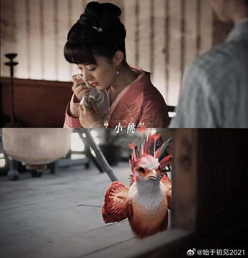 感恩遇见与凤行楚乔传知否赵丽颖好爱她的每一个角色
