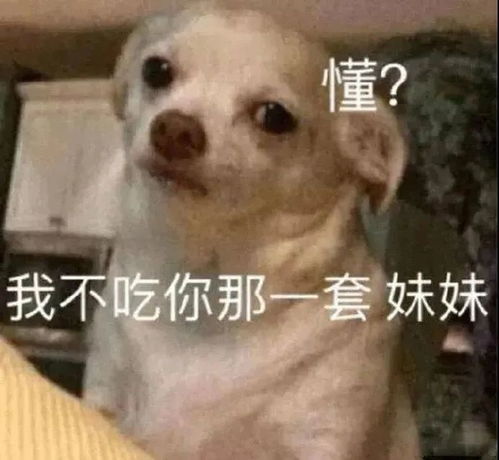 沙雕表情开机上班,开始混底薪