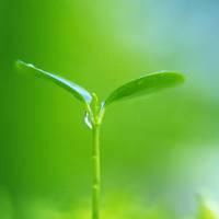 微信头像图片意境风景卡通微信头像图片大全