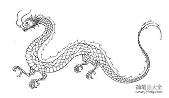 龙的简笔画腾飞的龙简笔画