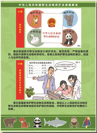请传阅漫画图解新版野生动物保护法