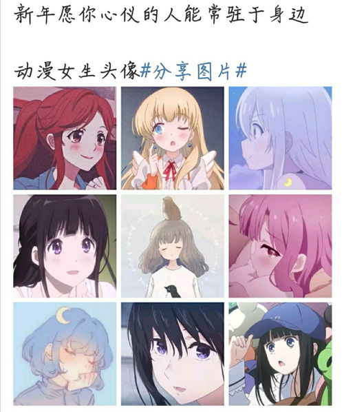 愿新年胜旧年